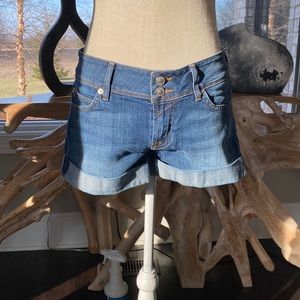 Hudson Croxley Mid Thigh Short-26